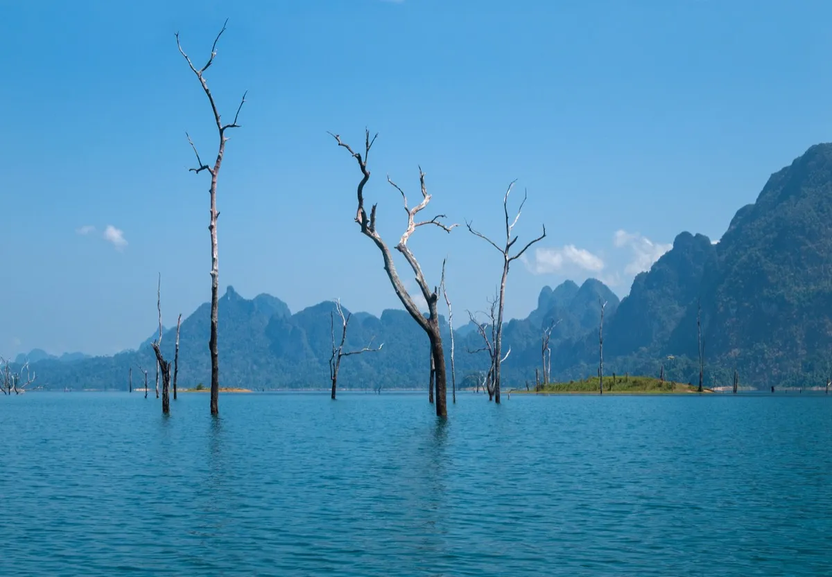 Khao Sok National Park Cheow Lan Lake longtail boat day trip from Phuket
