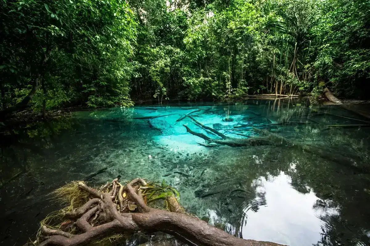 Krabi Sightseeing Details